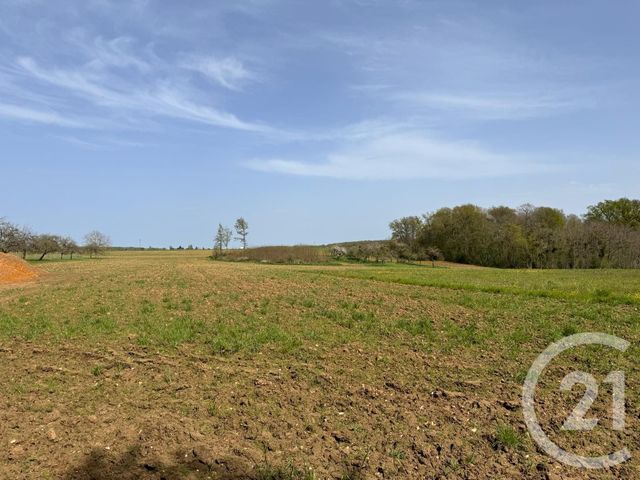 Terrain à vendre - 3470 m2 - Villeroy - 89 - BOURGOGNE